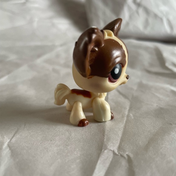 Littlest Pet Shop Chihuahua beige and brown - Picture 2 of 4